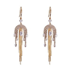 Personality fashion fringe earrings